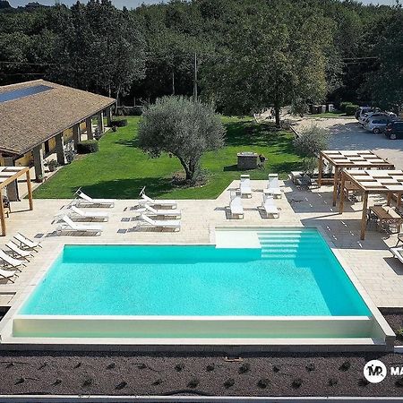 Agriturismo La Noce Bassano Romano Екстериор снимка